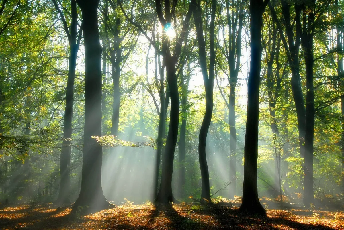 Combien de temps dure un éveil spirituel ?