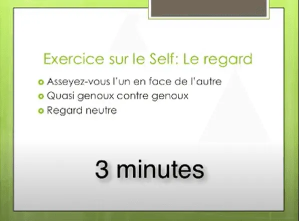 Exercice n°2 sur le Self: Le regard et questions